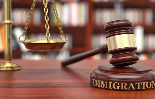 Immigration and citizenship enforcement and violations